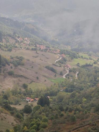 a view of a valley with trees and a winding road at Casa Rural el Enebral en Potes Picos de Euopa in Colio