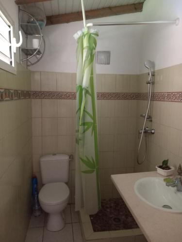 La salle de bains est pourvue de toilettes, d'une douche et d'un lavabo. dans l'établissement Chez cloclo, au Gosier