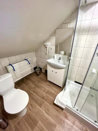 a bathroom with a toilet and a sink and a shower at Penzion Dolní Morava in Dolní Morava
