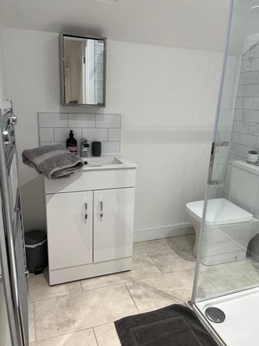uma casa de banho branca com um lavatório e um WC em The Apartment Cold Comfort Farm em Hinckley