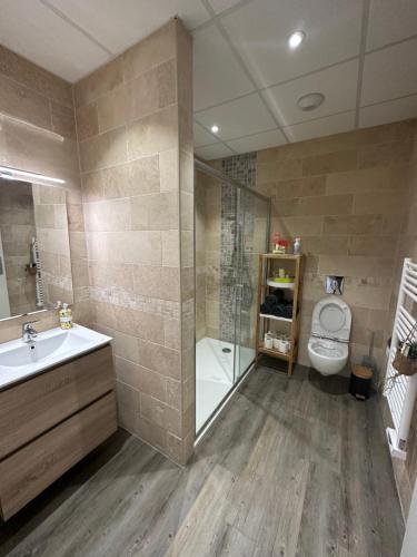 une salle de bain avec toilettes, lavabo et douche dans l'établissement Loft chic standing, à Franconville