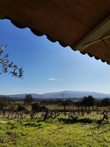 a view of a vineyard from under a roof at Quinta Cabeço do Barragão in Fundão