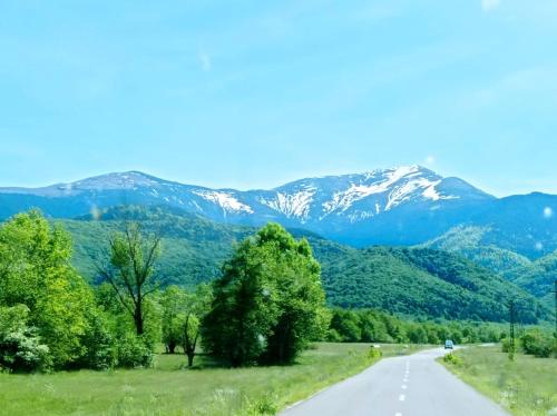 un camino con montañas en el fondo en Pensiunea VALEA LISEI, en Lisa