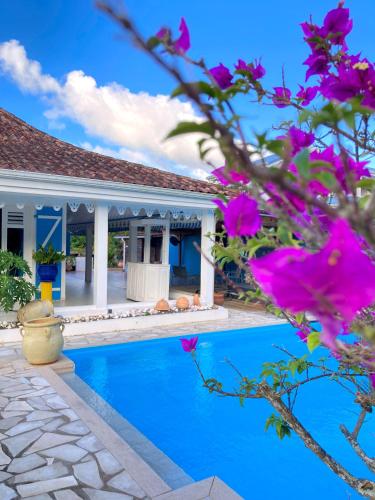 a villa with a swimming pool and pink flowers at Villa La Roserie in Ducos