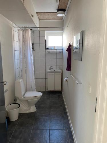 斯凱恩的住宿－Skjernaa-ferie/ Andersen Invest，一间带卫生间和水槽的浴室