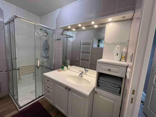 a bathroom with a sink and a shower at Charmant logement à Sancerre in Sancerre