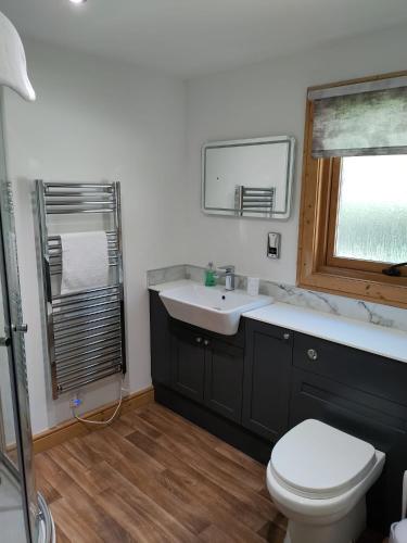 a bathroom with a sink and a toilet and a window at Parkwood Lodge in Louth