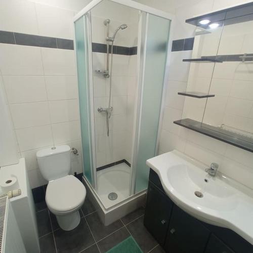 a bathroom with a shower and a toilet and a sink at Appartement cosy - Centre de Barr - Route des Vins in Barr