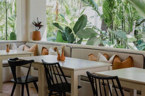 Κήπος έξω από το Sendero Hotel