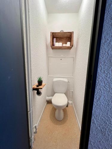 a bathroom with a toilet in a small room at Carlines'home in Les Orres