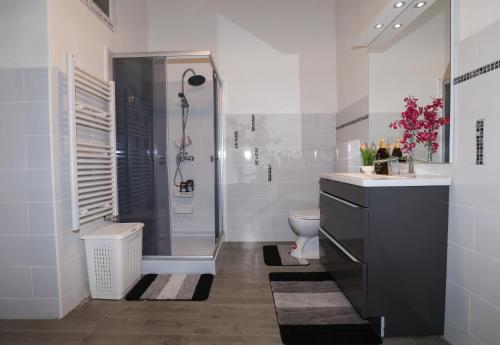 アラドにあるCasa Larisaのバスルーム(シャワー、トイレ付)