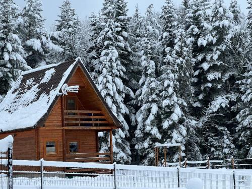 a log cabin in the snow with trees at Domek letniskowy Biedówka in Limanowa