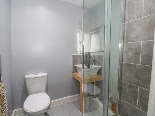 a bathroom with a toilet and a shower and a sink at Beas Cottage in Highpeak Junction