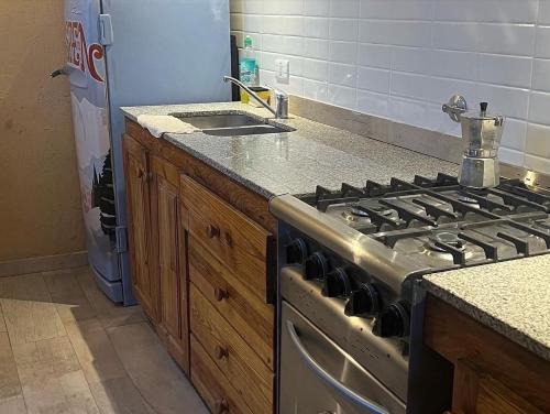 a kitchen with a stove and a sink at Casas De Montaña Las Leñas Los Molles in Los Molles