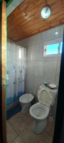 y baño con aseo, lavabo y ducha. en Picunches 2 en Neuquén