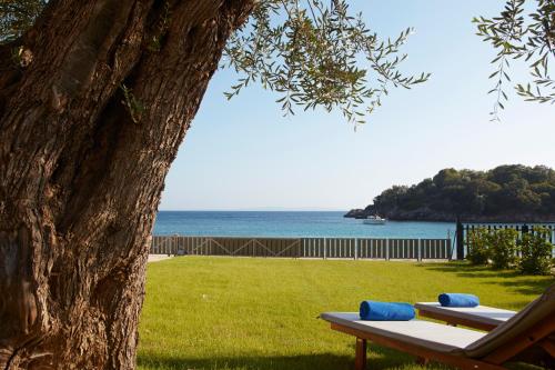 eine Bank neben einem Baum neben dem Meer in der Unterkunft Sivota Seascape Luxury Villas & Residences in Syvota