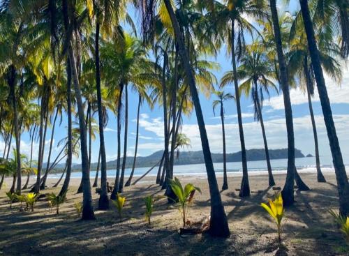 Little Paradise – Photos 5
