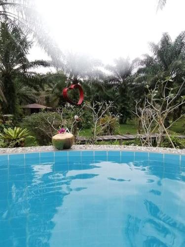 a large blue swimming pool with a red life preserver at Koom Kachanaan in Ban Nong Thale