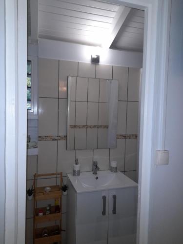 uma casa de banho com um lavatório e um espelho em La Suite Odile Piscine em Le Lamentin