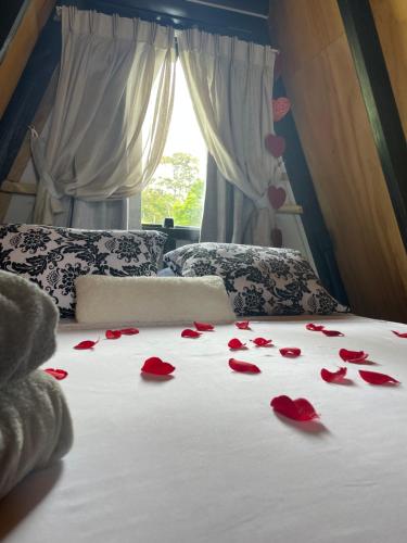 Una cama con pétalos de rosa roja. en Chalé Aconchegante - TEMOS O CHALÉ BRANCO DISPONÍVEL NESTE FINAL DE SEMANA, en Camboriú