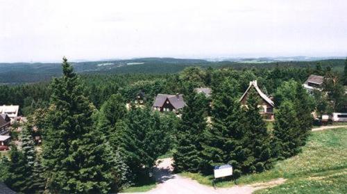 an aerial view of a house surrounded by trees at Hotel Zum Bären in Kurort Altenberg