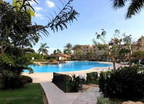 einen Pool im Resort mit Palmen und Gebäuden in der Unterkunft Chez Sam in Sharm El Sheikh