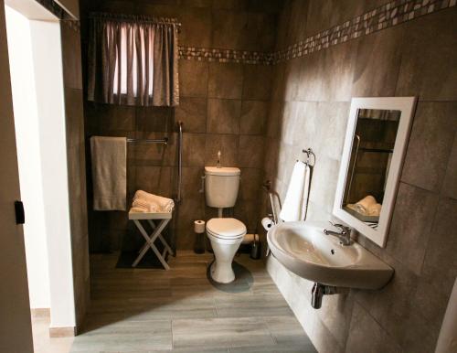 a bathroom with a sink and a toilet and a mirror at New Haven Guest House (Pty) Ltd in Newcastle