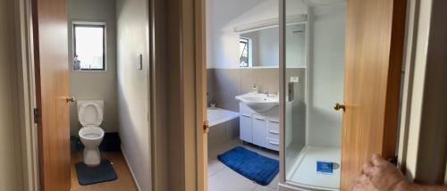 ein Bad mit einem WC und einem Waschbecken in der Unterkunft Warm on Waterloo in Palmerston North