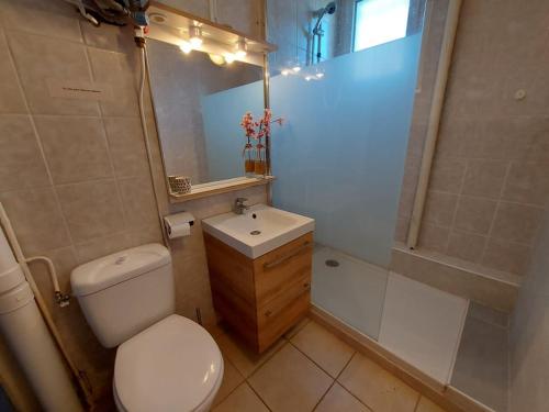 une salle de bain avec toilettes, lavabo et douche dans l'établissement Appartement T2 avec Grand Jardin, Terrasse et Parking - 4 Couchages à Marseillan Plage - FR-1-326-740, à Marseillan