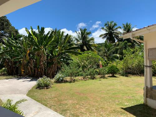 a garden with palm trees and a driveway at Paul's Residence in Mahe