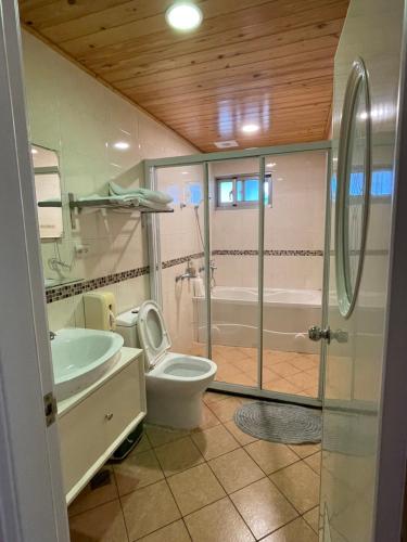 a bathroom with a toilet and a sink and a shower at Star Wish B&B in Dongshan