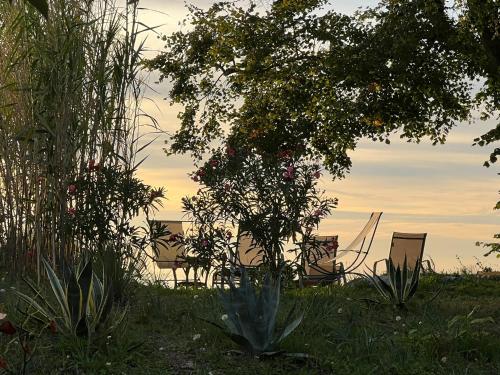 a group of chairs sitting in the grass near the water at Relais Villa Giusso in Vico Equense