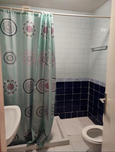 a bathroom with a shower curtain and a toilet at Hotel El Molino in Ciudad Real