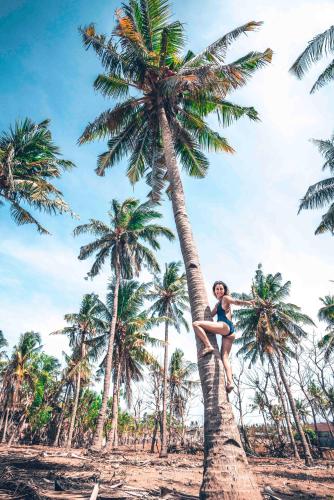 a woman sitting on a palm tree on the beach at Manta Dive Gili Trawangan Resort in Gili Trawangan