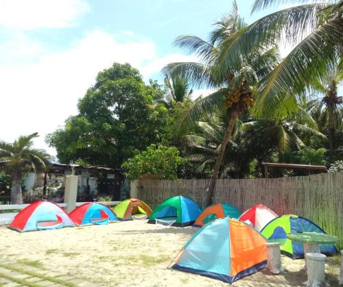 a group of tents on a beach with palm trees at North Shores Inn in Currimao