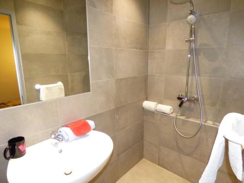 a bathroom with a sink and a shower at Auberge des Avenières in Les Avenières