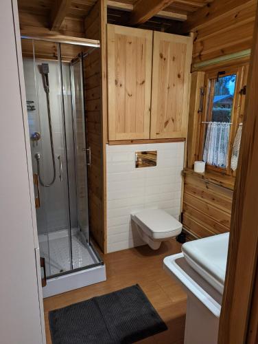 a bathroom with a shower and a toilet and a sink at Czarcie Głazy in Wiele