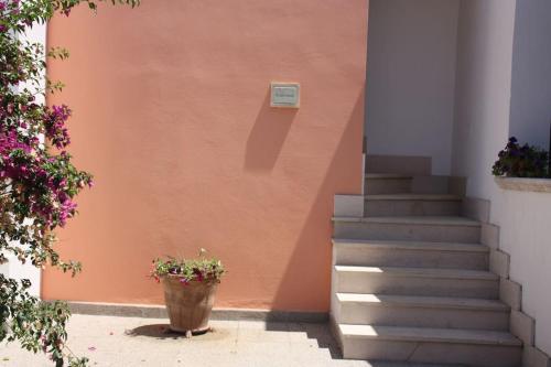 Billede fra billedgalleriet på Kalos Irtate i Casamassella