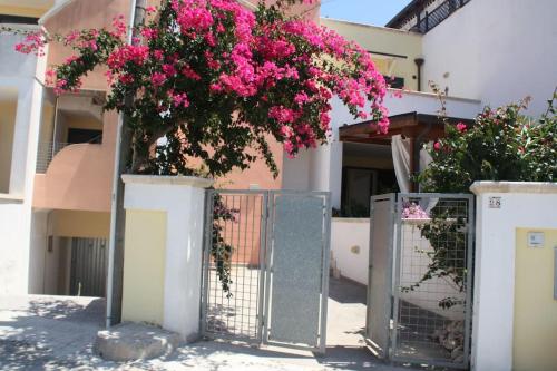 Billede fra billedgalleriet på Kalos Irtate i Casamassella