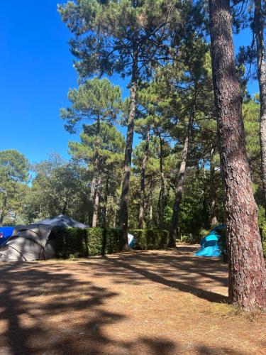 a campsite in the woods with tents and trees at CAMPING Bassin Arcachon - LES GOELANDS in Arès