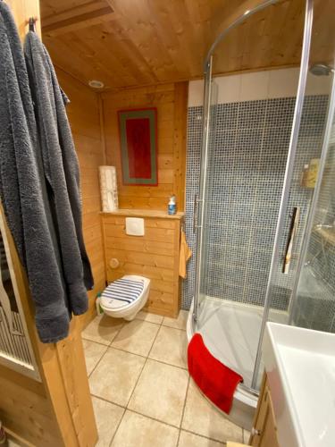 a bathroom with a shower and a toilet and a tub at Chalet les Chouettes in Thônes