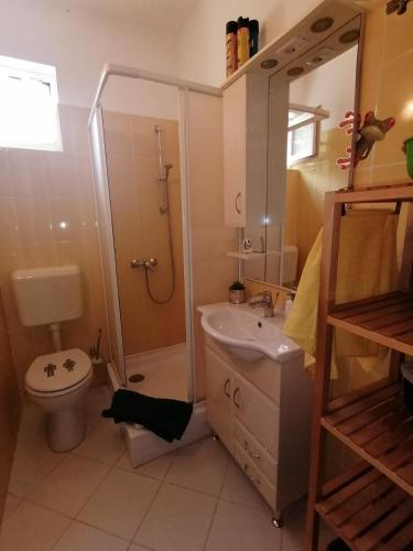 a bathroom with a shower and a toilet and a sink at Zöld Liget Vendégház in Balatonfenyves