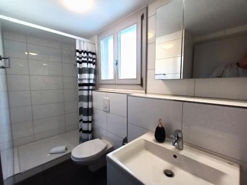 een badkamer met een wastafel, een toilet en een spiegel bij Henry's Apartments Interlaken in Interlaken