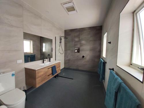 a bathroom with a toilet and a sink and a shower at Empty Nest in Penguin