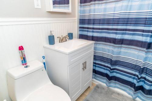 a bathroom with a sink and a toilet and a shower curtain at Beautiful Space all for you! in New Britain