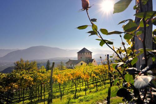 a vineyard with a building on a hill with the sun in the background at Schloss Hotel Korb in Appiano sulla Strada del Vino