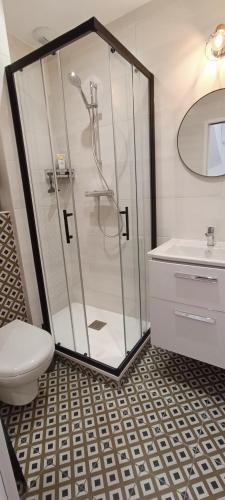 une salle de bain avec une douche, des toilettes et un lavabo dans l'établissement Appartement cosy - Ile Penotte - Sables d'Olonne - La Clé Chaumoise, à Les Sables-dʼOlonne