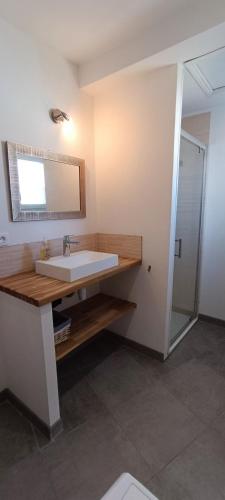 une salle de bain avec un lavabo, un miroir et une douche dans l'établissement Maison de pêcheur agréable & chaleureuse-La Chaume - La Clé Chaumoise, à La Chaume