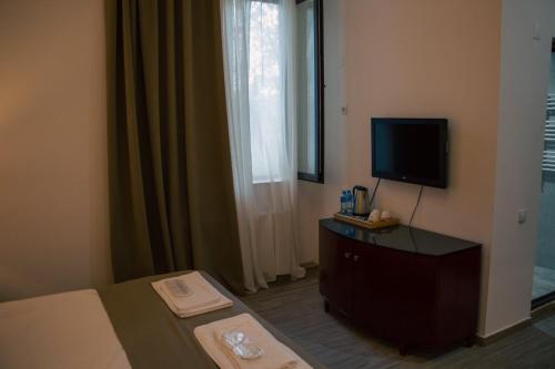 a hotel room with a bed and a television at Zhebota garden Tianeti in Zhebota