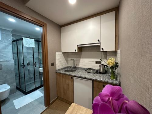 a small kitchen with a sink and a shower at H&L Suites in Istanbul